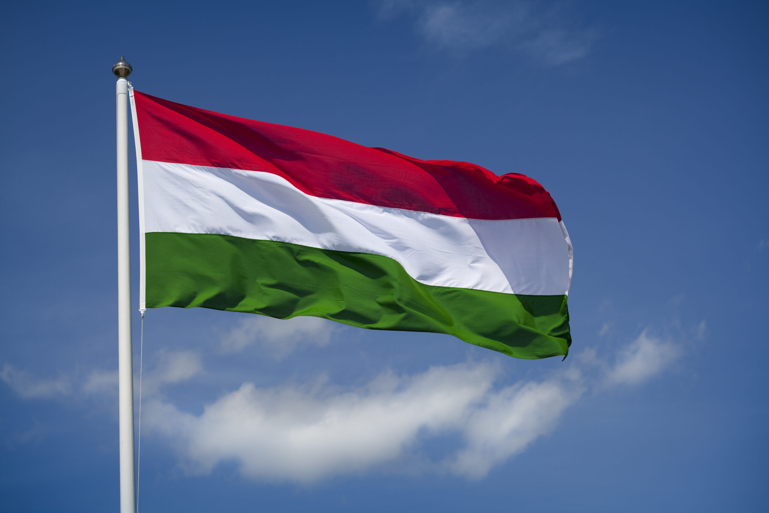 The flag of Hungary waving in the wind.
